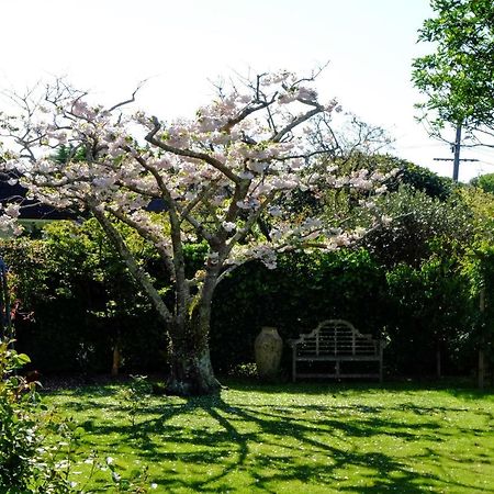 Garden Retreat Daire Otaki Dış mekan fotoğraf